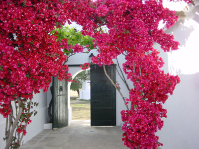 Cortijo El Indiviso De 1895