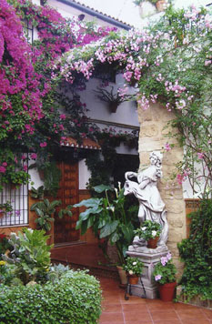 Embrujo De Azahar