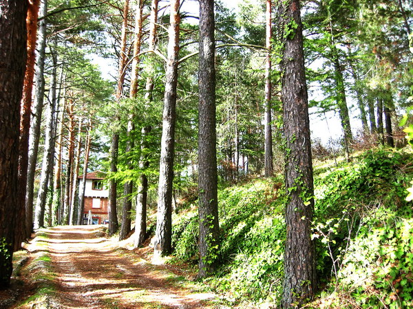 La Torre De Cercedilla