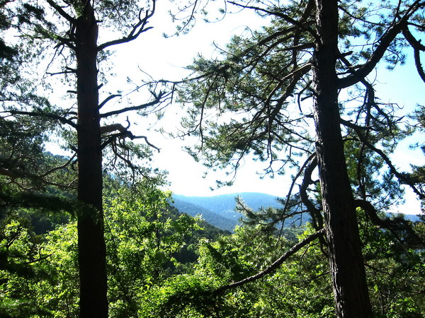 La Torre De Cercedilla