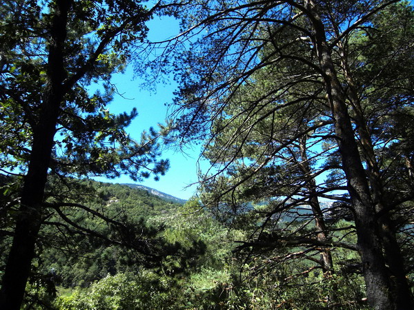 La Torre De Cercedilla