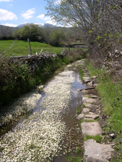 Los Sitios De Aravalle