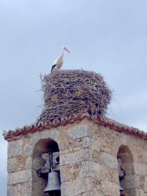 Los Sitios De Aravalle