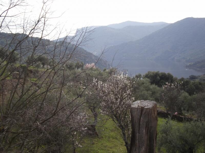 La Buhardilla