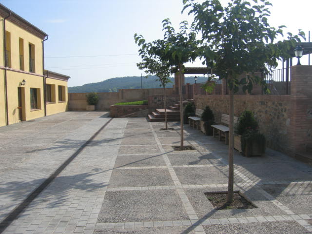 Can Fonsu