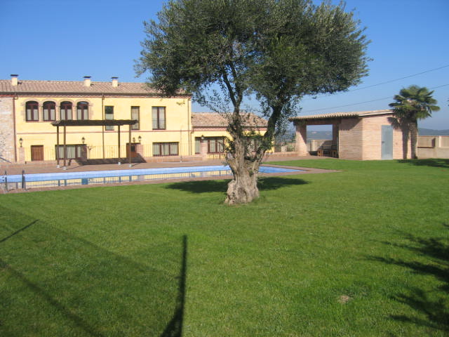 Can Fonsu