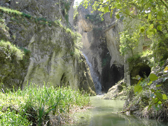 Albereda