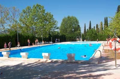 Albereda