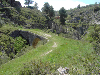 Albereda
