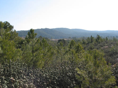 La Chimenea De Soria  I Y Ii