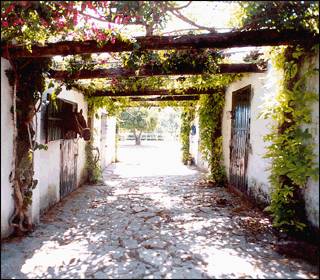 Finca El Molinillo