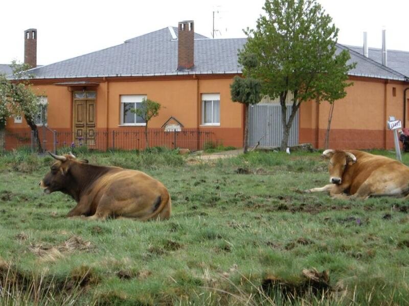 Casa Rural Tío Vicente