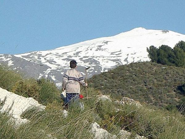 Cortijo Del Norte