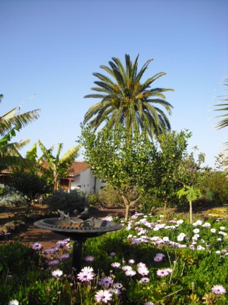 Finca El Picacho