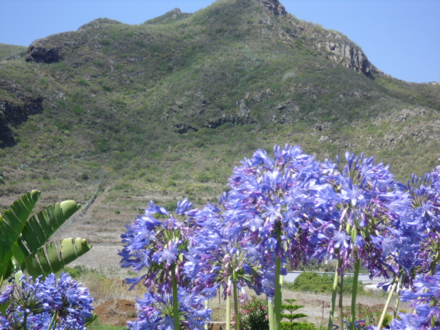 Finca El Picacho