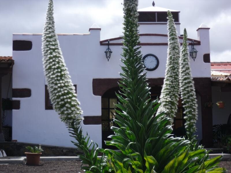 Finca El Picacho