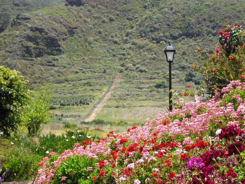 Finca El Picacho