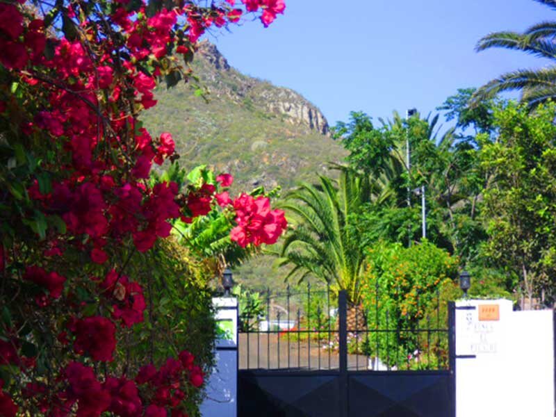 Finca El Picacho