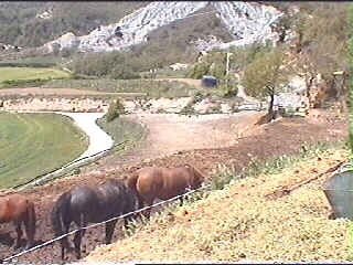 La Serreta De Munter