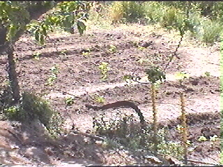 La Serreta De Munter