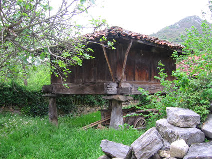 Apartamentos San Isidro