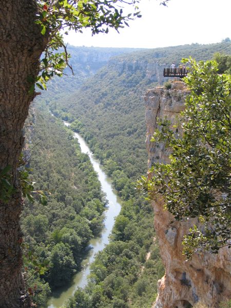 El Pozo De Los Lobos