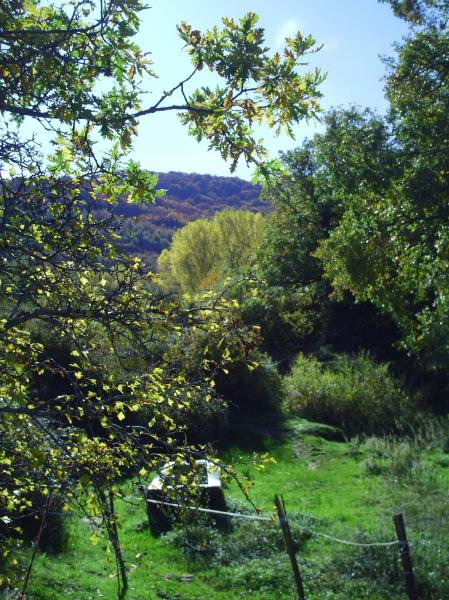 El Pozo De Los Lobos