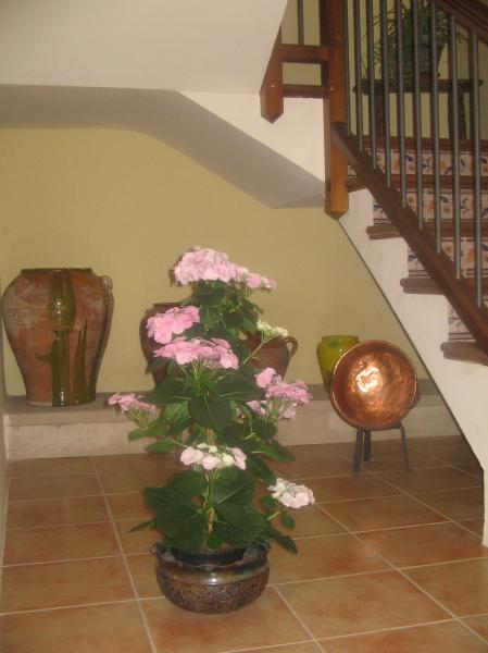 Apartamentos Rurales Santa Águeda