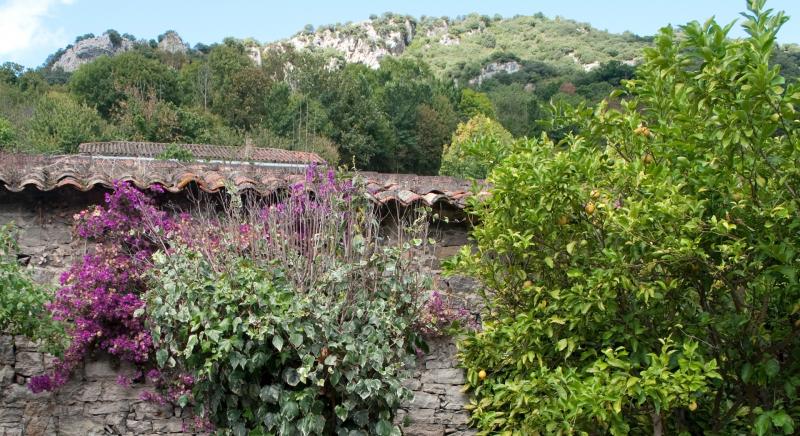 La Escanda