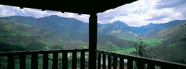 La Xamoca