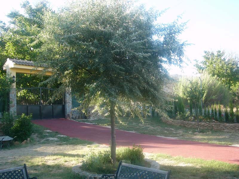 Cabañas Villalfonso