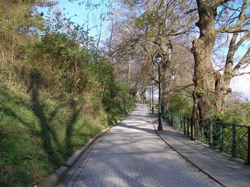 Casa Adelita
