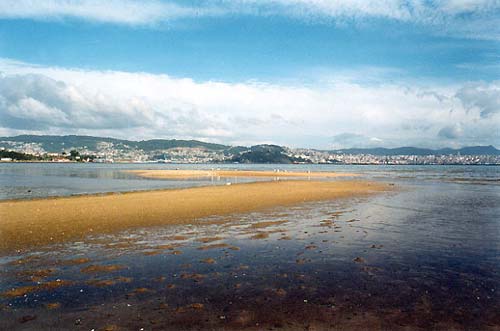A Fraga Rural