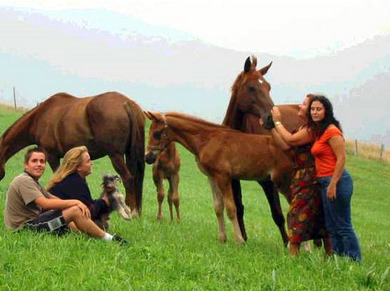Hotel Rural Yeguada Albeitar