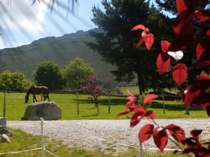 Hotel La Solana - Posada De Caballos