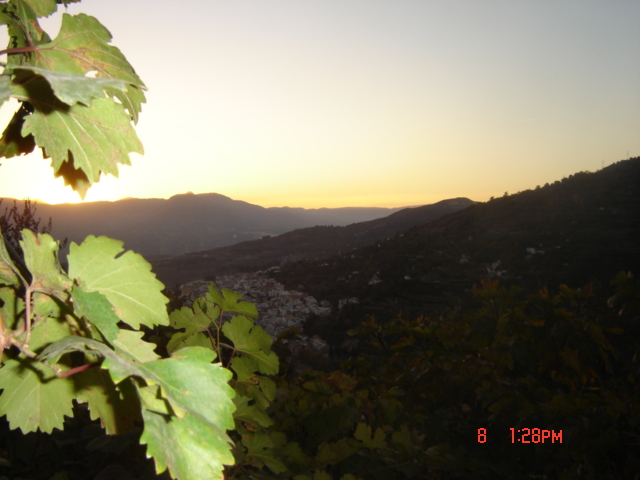 La Encina