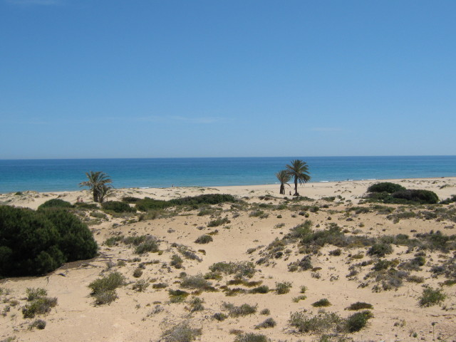 ILICITAN GUEST HOUSE GAY