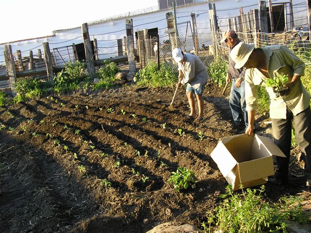 Finca Zambrana