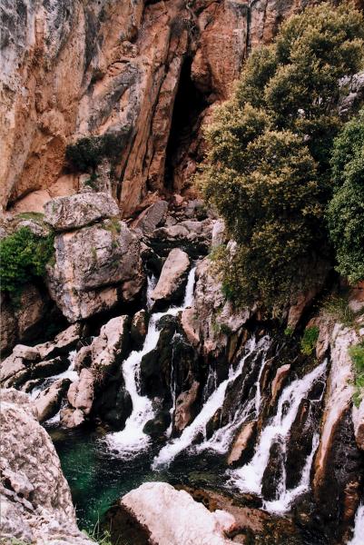Valle Del Paraiso La Teja