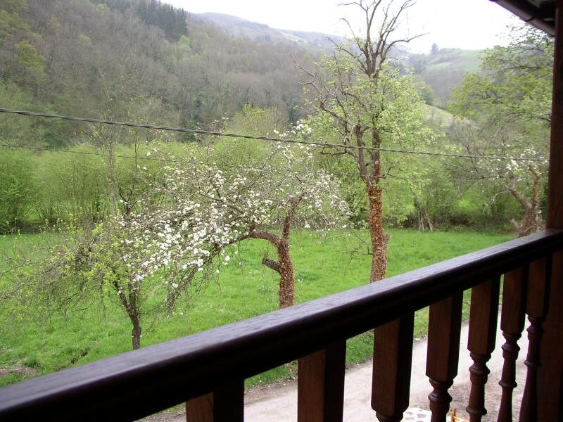 Apartamentos Ca Lulón