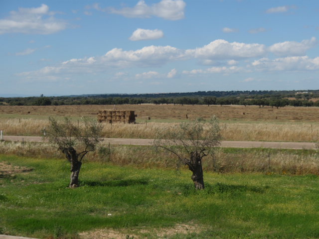 Casa Rural Dehesa De  Solana