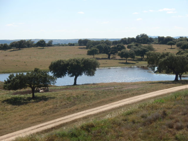 Casa Rural Dehesa De  Solana
