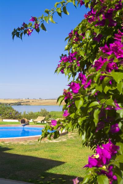 Hacienda El Santiscal