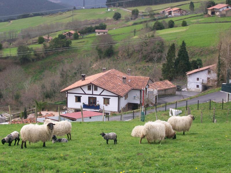 Kasa Barri