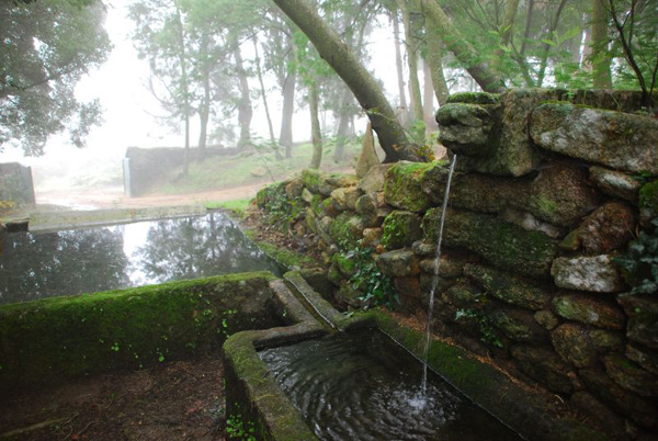 Quinta Dos Ciprestes