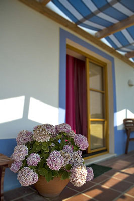 Casa Vicentina