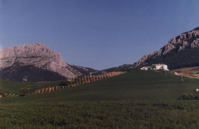 Cortijo Borreguero