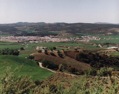 Cortijo Borreguero