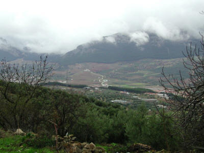 Cortijo Borreguero