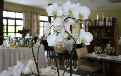 Hotel Villa Nazules Hípica Spa